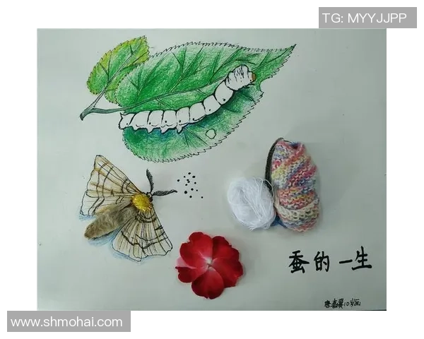 从茧中破茧而出天下足球的蜕变与成长之路